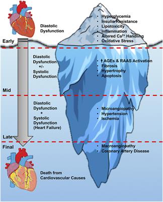 The Impact of Antidiabetic Therapies on Diastolic Dysfunction and Diabetic Cardiomyopathy